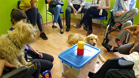 Sessions pràctiques del Postgrau en Instrucció d'Unitats Canines de Treball