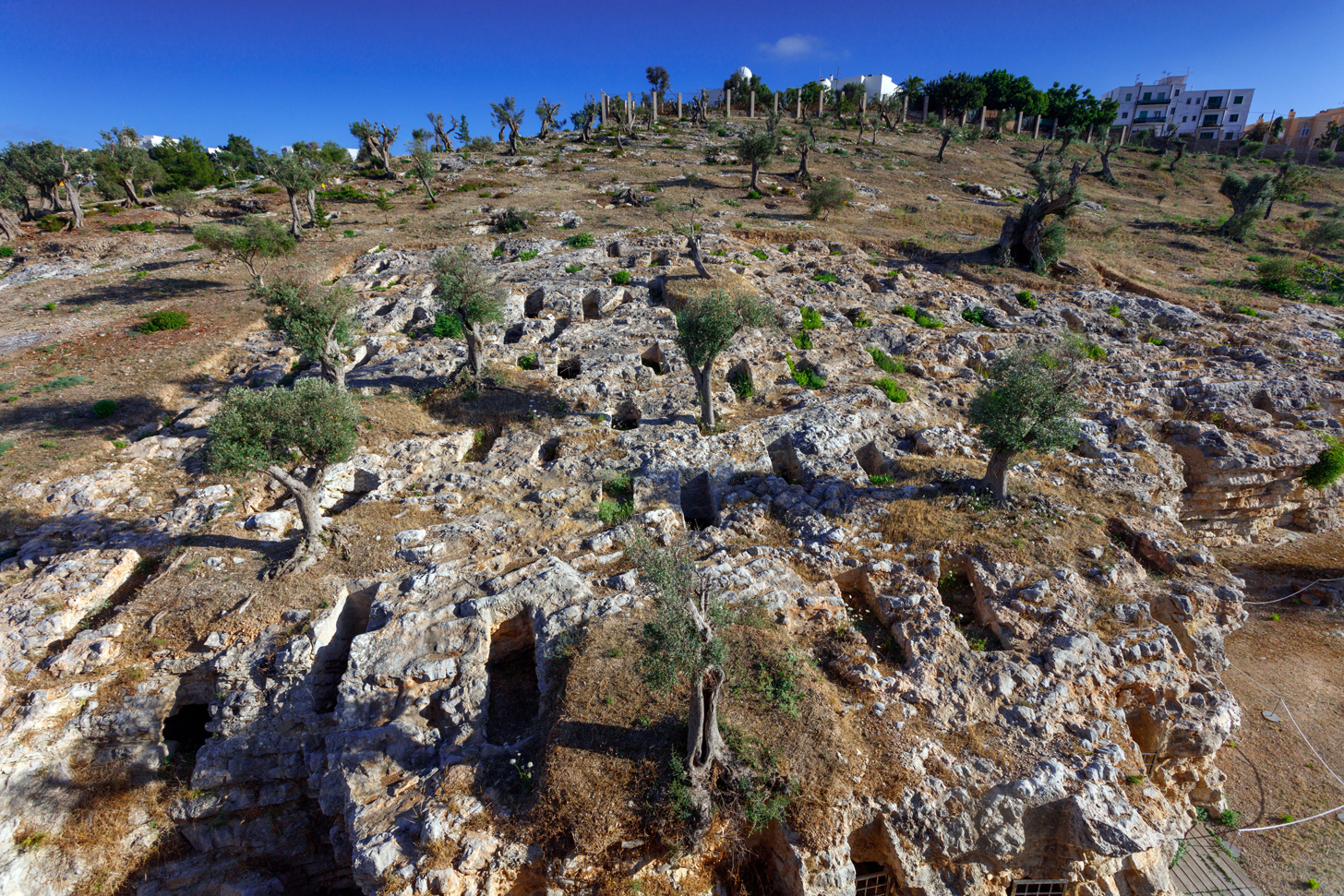 Fotografia del jaciment de Puig des Molins