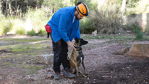 Conferència The Dog Academy