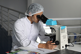Postgrau en Sistemes de Qualitat Alimentària
