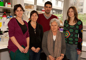 Molècula multidiana contra l'Alzheimer