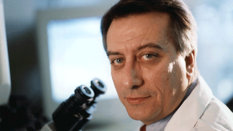 Carlos Cordon