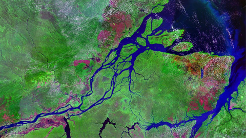 Delta del riu Amazones, imatge per satèl·lit