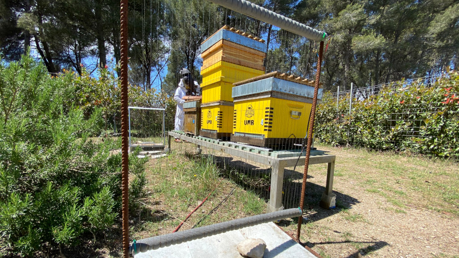 Instal·lacions UABee a la UAB