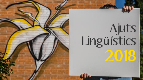 Imatge Ajuts lingüístics 2018