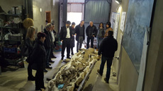 Campus Arqueologia