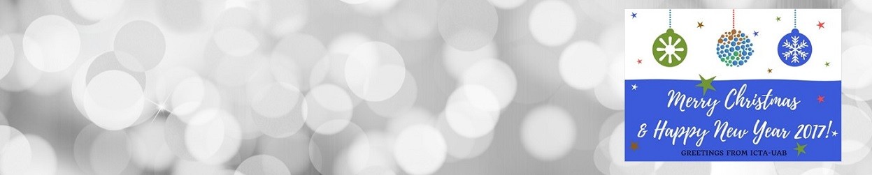 Bon Nadal i Feliccedil Any Nou 2017