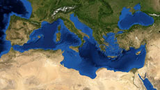 MEditerrani