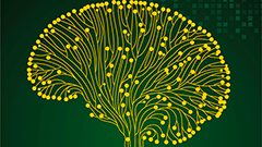 VII Congrés Internacional EDO