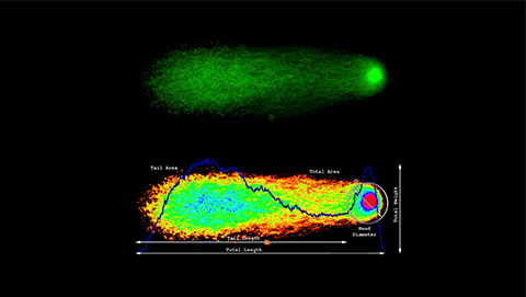 Cometfertility