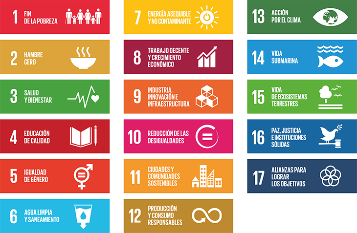 The Objectives of Sustainable Development