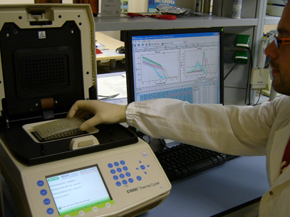 RT-PCR