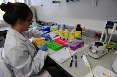 Laboratori