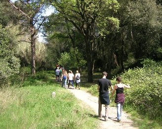 Xarxa de camins