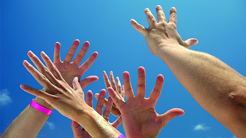 Concurs polsera biociències 2019