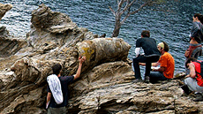Màsters oficials de Ciències i ciències ambientals a la UAB