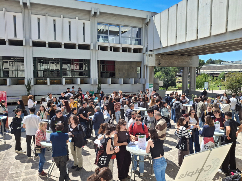 La llosa de la Facultat de Ciències Polítiaues durant la segona part de