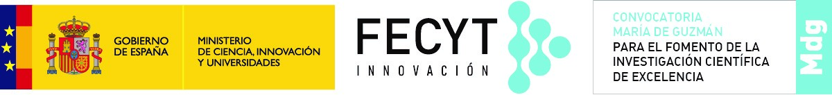 Logo FECYT i Ministerio de Ciencia e Innovación