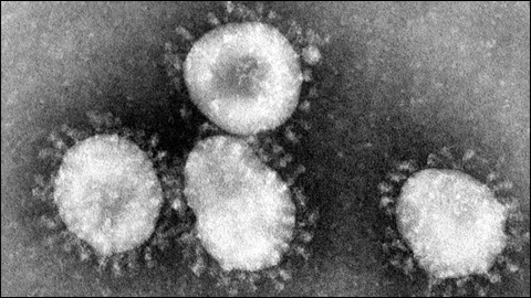 Prevenció enfront el coronavirus