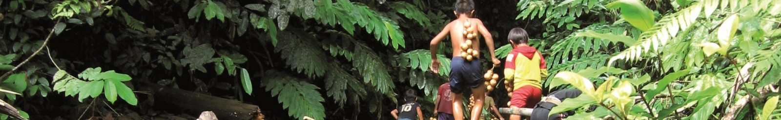 Les politiques de conservacio de la biodiversitat dels boscos tropicals amenacen la supervivencia de