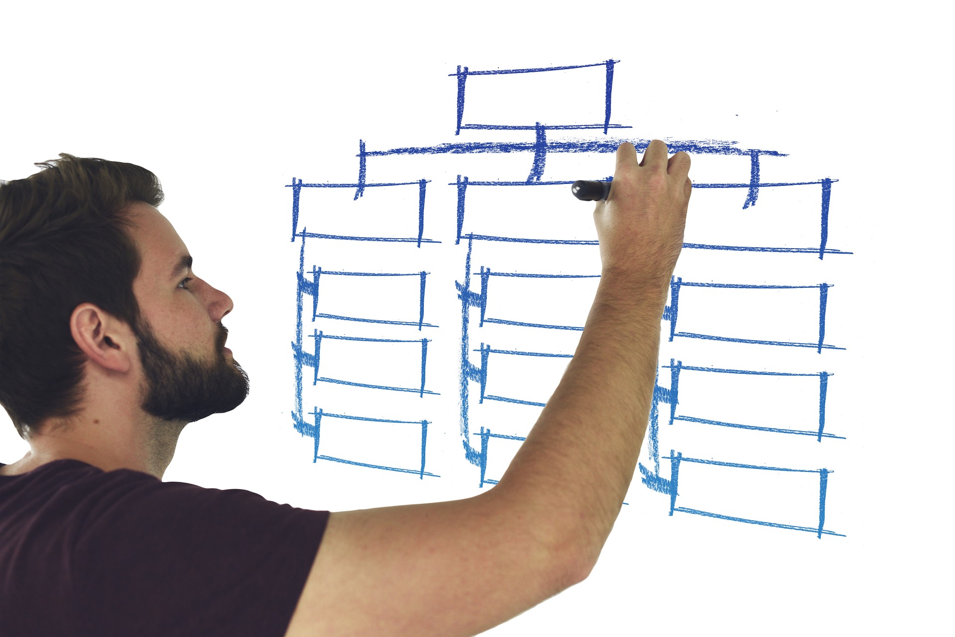 Persona dibuixant diagrama a una pissarra