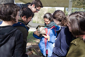 Voluntariat Medi Ambient