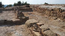 Castellum de Puig Castellar de Biosca