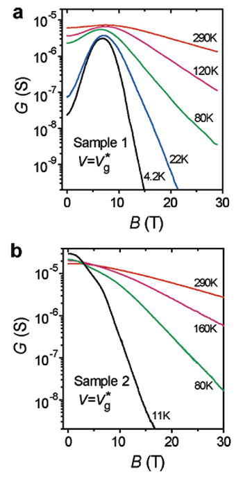 Efecte de camp induït magnèticament en transistors basats en nanotubs de carboni