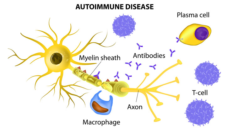 resposta autoimmune