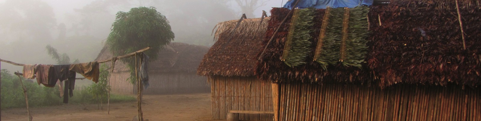 El coneixement ambiental local ajuda a l039adaptacio de les societats indigenes