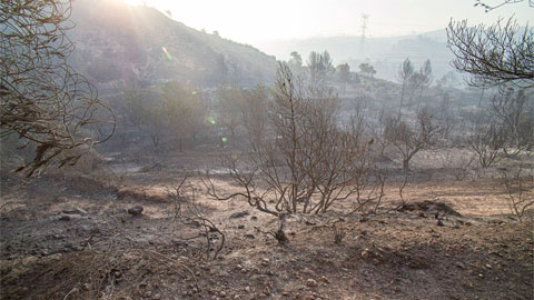 Incendi a la Ribera d'Ebre