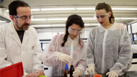 Jornades de Química Interactiva