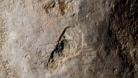 Troben gravats del Paleolític Superior a la Cova Gran de Santa Linya