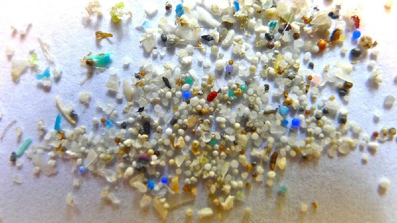 Un nou projecte ICTA-UAB avaluara els impactes dels micro i nanoplastics en els oceans tropicals i t