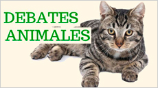 Debates Animales