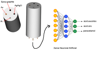 Una llengua electrònica