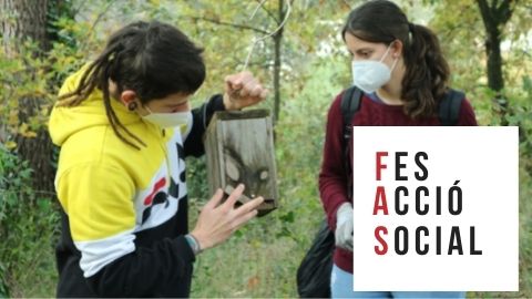 Voluntariat setembre 2021 FAS