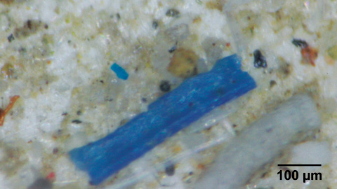 Microplastics