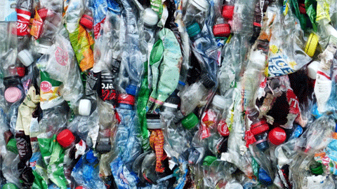 Reciclaje de botellas de plástico