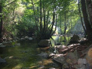 Concentració de nitrogen a àrees rurals de Catalunya