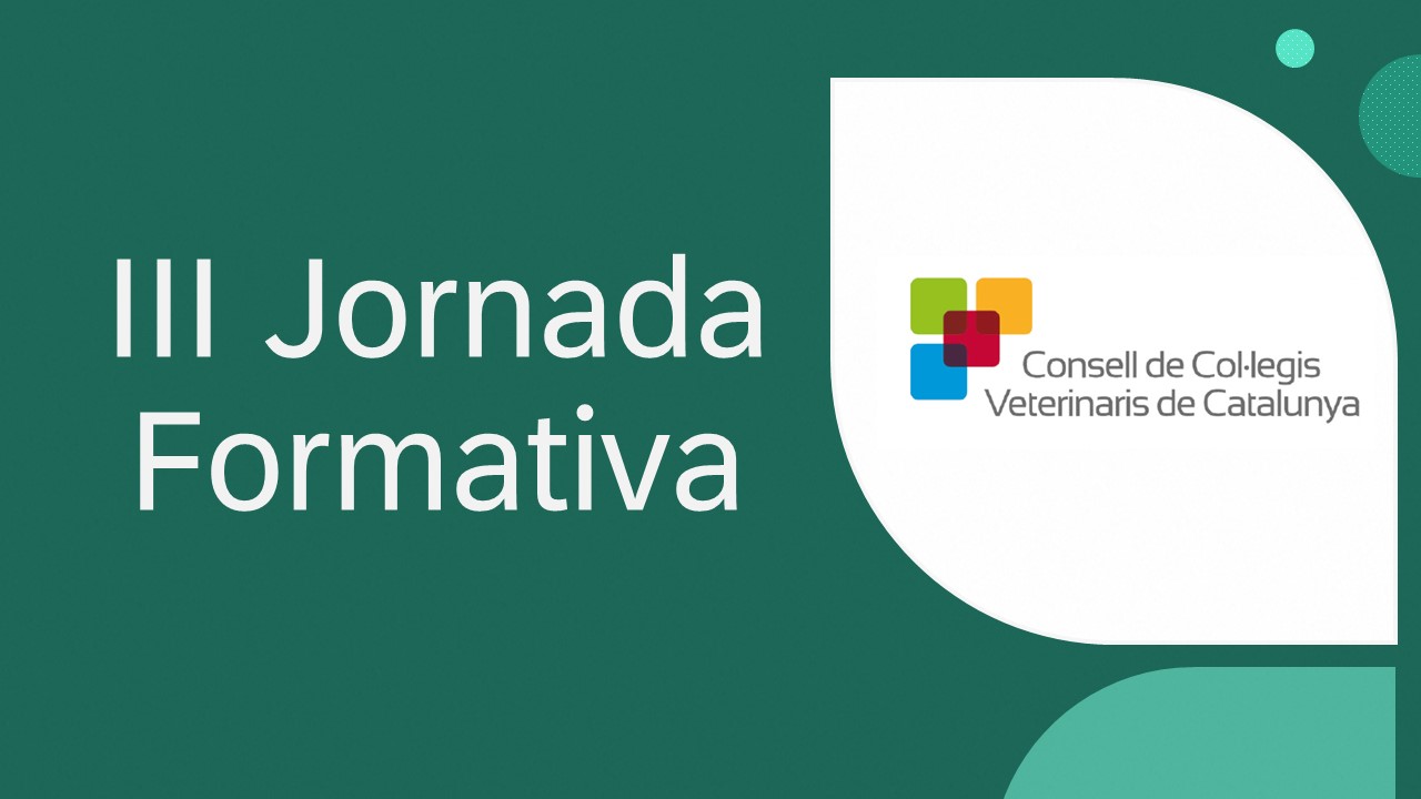 III Jornada Formativa CCVC