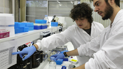 Investigadors en la Facultat de Biociències de la UAB