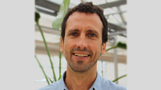 Esteve Corbera