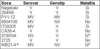 Patologia clínica H. parasuis