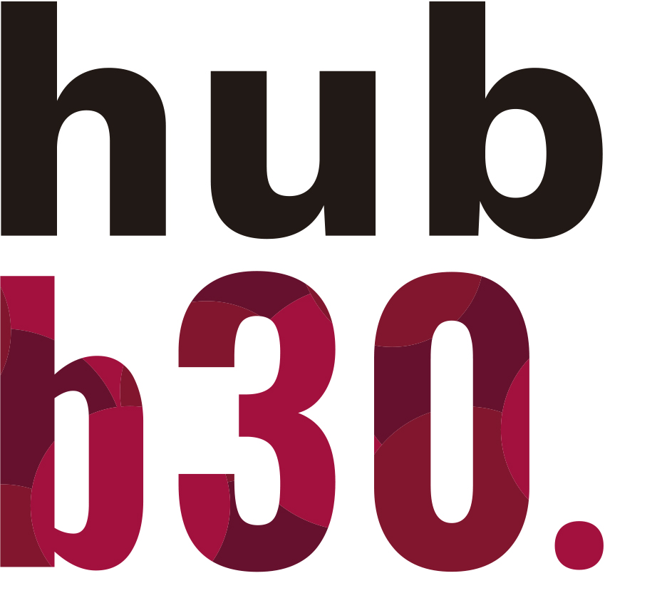Logo Hub b30
