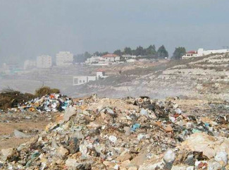 Bioremedació dels sols