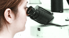Màster oficial de Microbiologia Aplicada