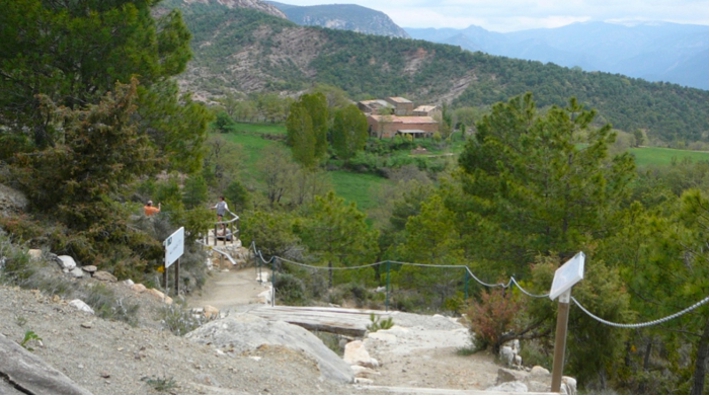 Els jaciments paleontològics de Coll de Nargó