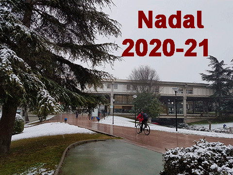 IMG_141220_ServeisMinims_Nadal20