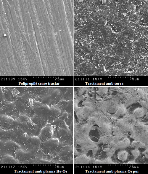 Bacteris als biofilms dels bioreactors